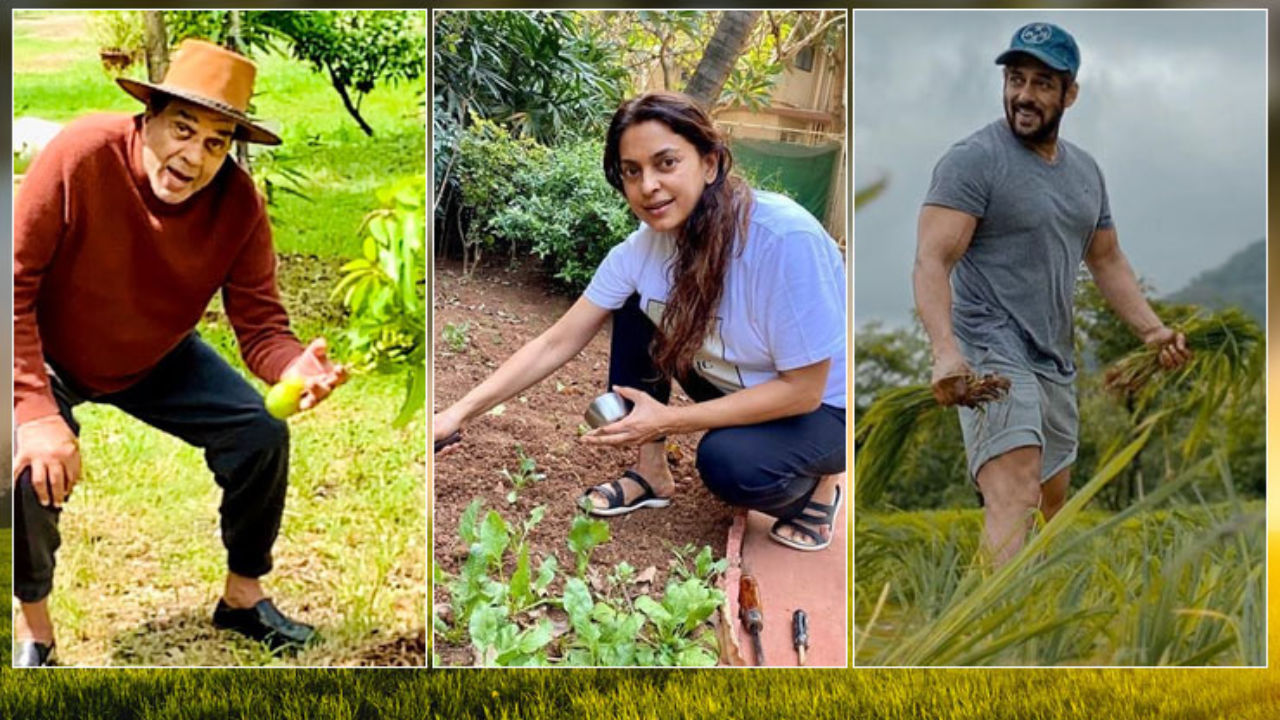 From Salman Khan To Dharmendra B Town Stars Who Turned To Farming Amidst Lockdown Bollywood Bubble